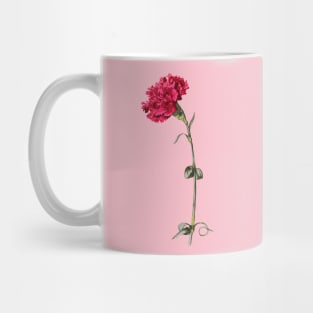 Single Stem Red Carnation Isolated Mug